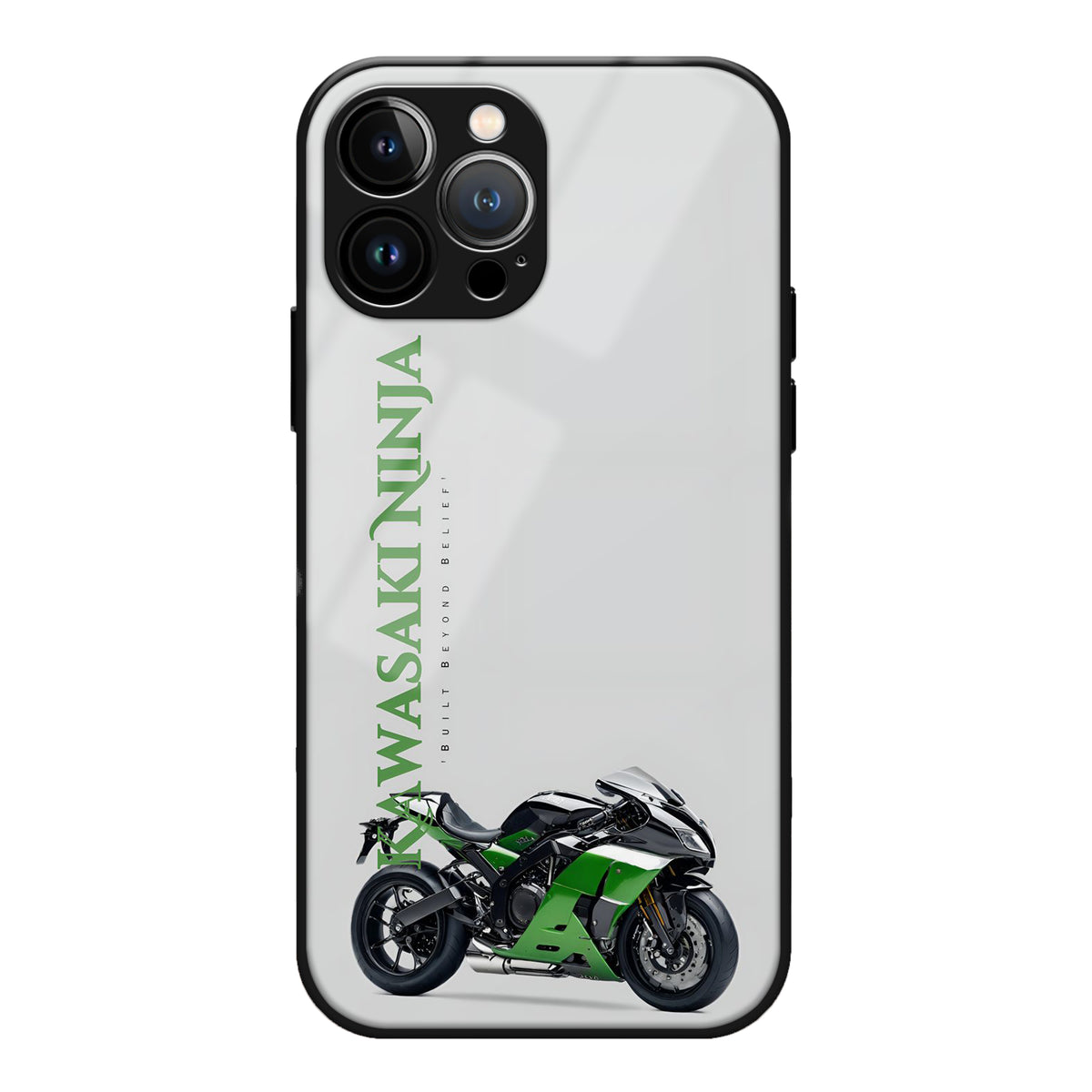 Kawasaki Shadow Ride Case