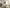 Bloomveil Beauty Wall Poster